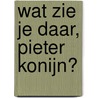 Wat zie je daar, Pieter Konijn? door Beatrix Potter