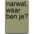 Narwal, waar ben je?