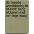 De Tweede Wereldoorlog in Hasselt: Bang bibberen met een lege maag