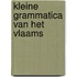 Kleine grammatica van het Vlaams