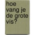 Hoe vang je de grote vis?