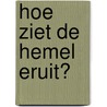 Hoe ziet de hemel eruit? door Henk Binnendijk