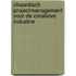 Chaordisch projectmanagement voor de creatieve industrie