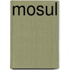 Mosul by Rudi Vranckx