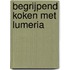 Begrijpend koken met Lumeria