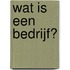 Wat is een bedrijf?