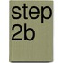 Step 2B