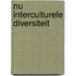 NU Interculturele Diversiteit