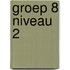 Groep 8 Niveau 2