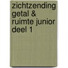 Zichtzending Getal & Ruimte Junior deel 1 by Unknown