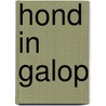 Hond in galop by Jan Birck