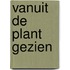 Vanuit de plant gezien