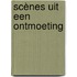 Scènes uit een ontmoeting