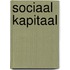 Sociaal Kapitaal