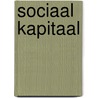Sociaal Kapitaal door Sieger Sloot