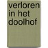 Verloren in het doolhof