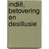 Indië, betovering en desillusie