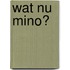 Wat nu Mino?