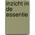Inzicht in de Essentie