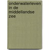 Onderwaterleven in de Middellandse Zee door Royan van Velse