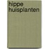 Hippe huisplanten