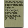 Landschappelijk booronderzoek Halen – Loksbergen, Gemengde Brigadestraat (21.538B) door K.A. Hebinck