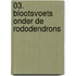 03. blootsvoets onder de rododendrons