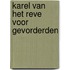 Karel van het Reve voor gevorderden