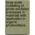 Large Scale Modelling of Photo-Excitation Processes in Materials with Application in Organic Photovoltaics