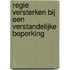 Regie versterken bij een verstandelijke beperking