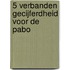 5 verbanden gecijferdheid voor de pabo
