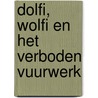 Dolfi, Wolfi en het verboden vuurwerk door J.F. van der Poel