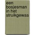 Een bosjesman in het struikgewas