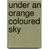 Under an orange coloured sky