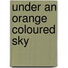 Under an orange coloured sky door Tom Alessie