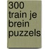 300 train je brein puzzels