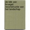 De Blik van Bruegel: reconstructie van het landschap by Unknown
