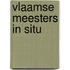 Vlaamse Meesters in Situ