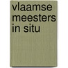 Vlaamse Meesters in Situ door Patrick De Rynck
