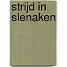 Strijd in Slenaken door Ferdinand Mertens