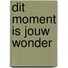 Dit moment is jouw wonder door David Hoffmeister