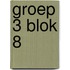 groep 3 blok 8