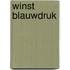 Winst Blauwdruk