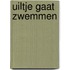 Uiltje gaat zwemmen