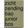 Zicht Zending BAO Junior Bos door Onbekend