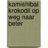 Kamishibai Krokodil op weg naar beter