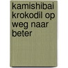 Kamishibai Krokodil op weg naar beter door Yoeri Slegers