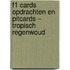 F1 Cards Opdrachten en Pitcards – Tropisch regenwoud