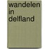 Wandelen in Delfland