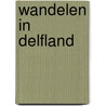 Wandelen in Delfland door Cock Hazeu